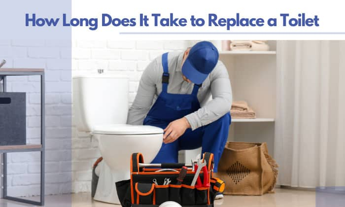 How Long Does It Take To Replace A Toilet Facts